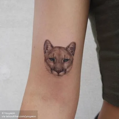 Puma tattoo, symbol decoration illustration Stock Vector by ©pimonova  25044535