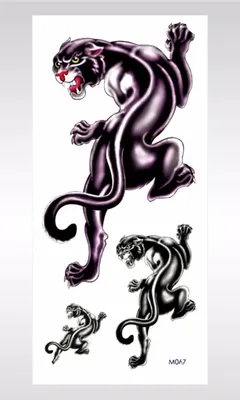 Puma Tattoo\" Sticker for Sale by CodataiArt | Redbubble