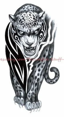 PUMA head abstract Tribal Tattoo Style Art Stock Photo - Alamy