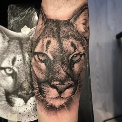 Puma tattoo by sass-tattoo on DeviantArt