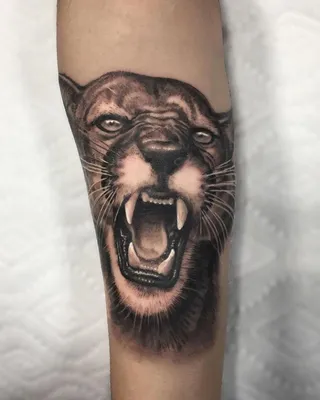 Best Puma Tattoo Ideas - Puma Tattoo Meaning and Design - PositiveFox.com |  Tattoos with meaning, Black and grey tattoos, Tattoos for guys
