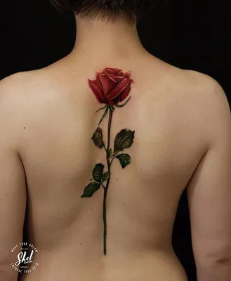 Тату на плече в виде розы фото работ в каталоге тату салона в Москве