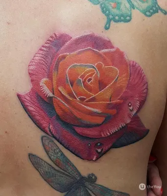 Черная татуировка розы на спине у девушки - фото татуировок (ID: 13086)