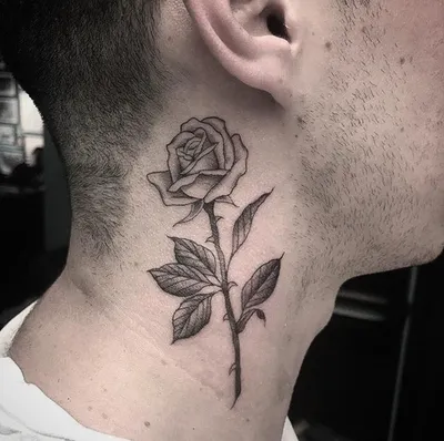 Тату эскизы \"Розы\" - VeAn Tattoo