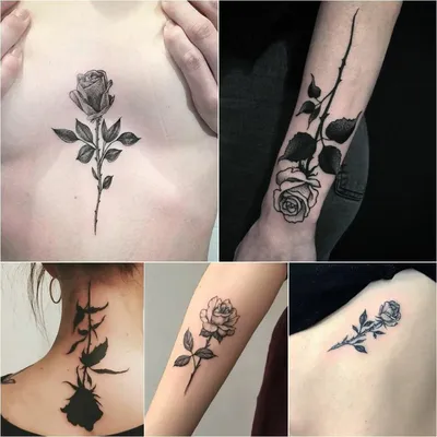 Розы в татуировках: значение для мужчин - fotovam.ru