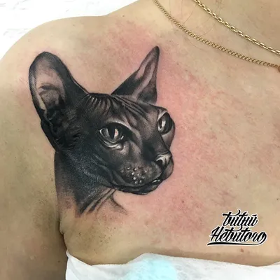 Ne Tattoo - Временное тату \"Звездный сфинкс\": купить по лучшей цене в  Украине | Makeup.ua