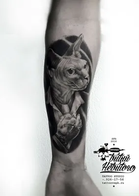 Тату кот. Тату кот чб. Тату кот реализм.