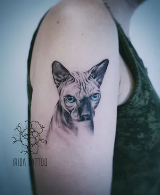 Марина Котова татуировка сфинкс tattoo cat | Татуировки, Тату, Сфинкс