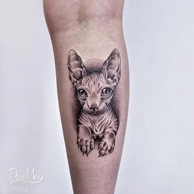 https://barb.ua/tatu-pirsing/foto-sfinks