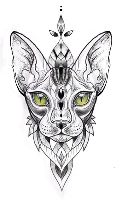 Tattoo • Значение тату: кошка породы Сфинкс