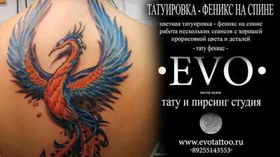 Феникс тату - какой философский смысл? | tattoo-sketches.com | Дзен