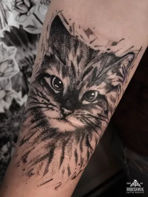 Фото татуировки кошки: png-картинка для свободного использования.