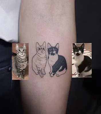 Фотографии татуировки кошки: png, jpg, webp форматы файлов.