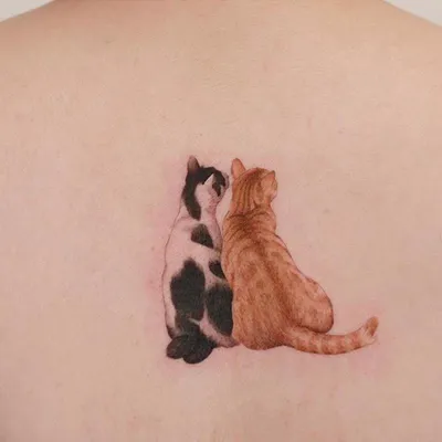 Фон с татуировкой кошки: картинка для вашего устройства.