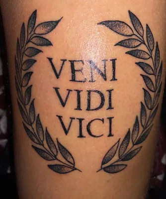 Art Tattoo: Veni, vidi, vici, vidi vici veni tradução - thirstymag.com