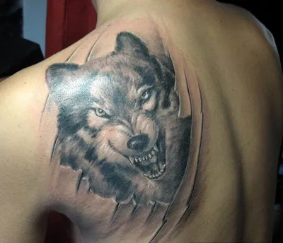 Тату волк - смысл и значение для мужчин - tattopic.ru