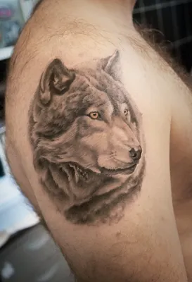 Татуировка волк на плече | Tattoo Academy