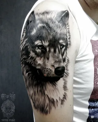Татуировка мужская реализм на плече волк 3353 | Art of Pain