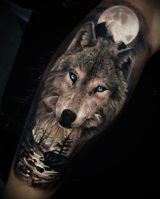 Тату волк с голубыми глазами (ФОТО) - trendymode.ru