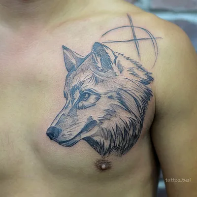 40 Татуировок - Тату Волк на предплечье || Wolf tattoo on forearm — Видео |  ВКонтакте