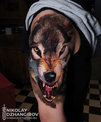 Тату волк (227 фото) - значение татуировки, эскизы 2024