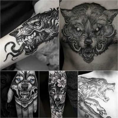 Татуировка волка реализм , эскиз тату | Дизайн татуировок, Татуировка с  волком, Тату на спину для девушек
