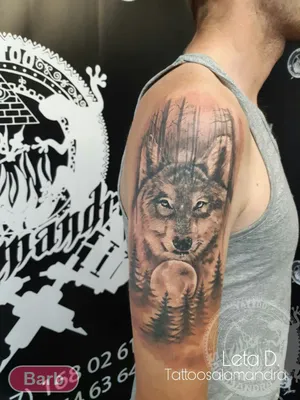 Тату Волк - Значение и Эскизы Татуировки с волком | Tattoo-ideas.ru
