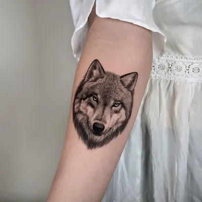 Татуировки волка фото фотографии