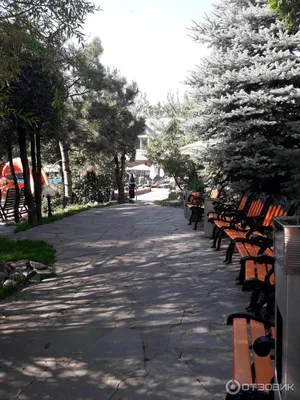 тау спа｜TikTok Search