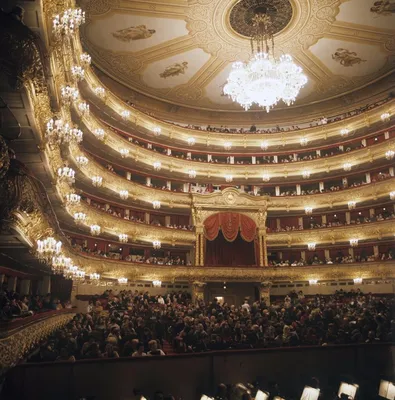 Опубликован проект будущих интерьеров в театре оперы и балета в Воронеже