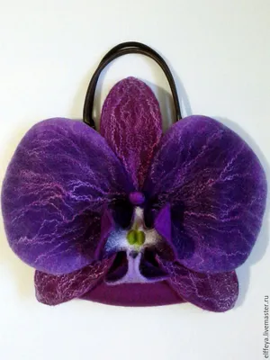 Темно-фиолетовая орхидея купить