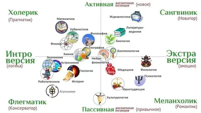 Что такое темперамент? Кто такие сангвиник, холерик, меланхолик и флегматик?