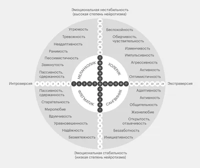 Определяем тип темперамента | Пикабу