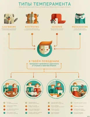 Самый редкий и самый распространенный темперамент | Особенности и статистика