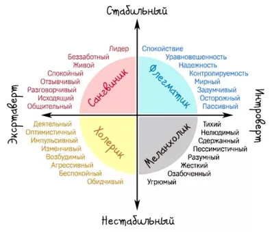 Стиль и темперамент