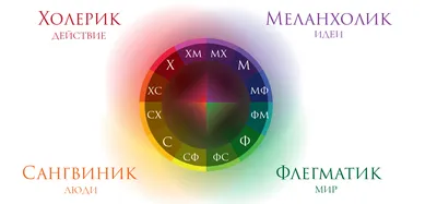 Темперамент