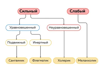 Темперамент