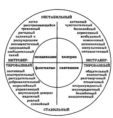 Типы темперамента и их характеристика