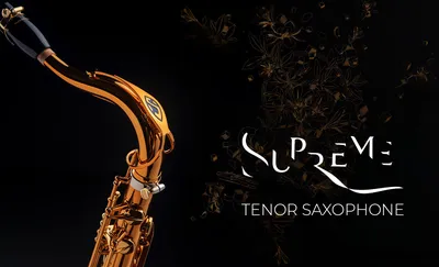 Intermediate Tenor Saxophone TS-400 – Jean Paul