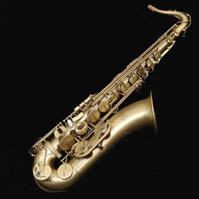 Vibrato Saxophone: The World's First Polycarbonate Tenor Saxophone