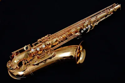 Artist Edition New York Signature Tenor Saxophone Unlacquered No High F#  Key - JL Woodwind Repair