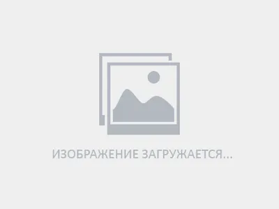 Престольный праздник в Р. П Тереньга | 04.12.2023 | Димитровград -  БезФормата