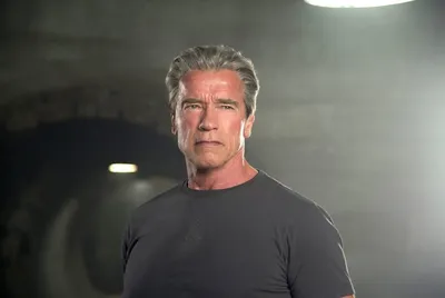 Терминатор | Terminator movies, Arnold schwarzenegger, Comic movies