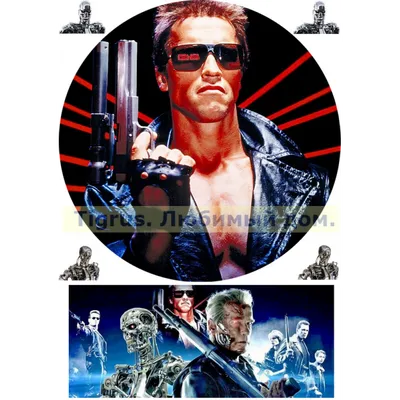 Терминатор: Генезис / Terminator Genisys (США, 2015) — Фильмы — Вебург