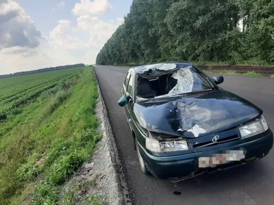 Купить загородную недвижимость в селе Терновка Воронежской области, продажа  загородной недвижимости - база объявлений Циан. Найдено 6 объявлений