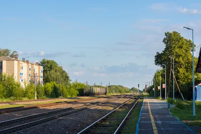 Продам дом на улице Юбилейной 7 в деревне Петровке в районе Жердевском Воронежская  область, Терновка 81.0 м² на участке 11.0 сот этажей 1 800000 руб база Олан  ру объявление 98488745