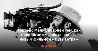 Настоящий кинозвезда: Терренс Малик на ваших обоях