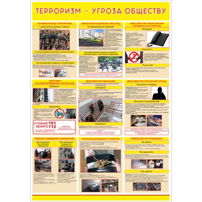 Почему Россия смогла победить терроризм в Чечне, а Израиль в Палестине не  смог? Объясняем просто | Чеченский след | Дзен