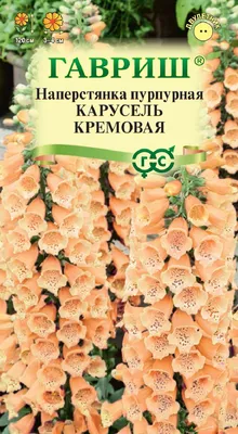 Купить Теспезия Суматра 3шт F0000016869 за 48руб. |Garden-zoo.ru