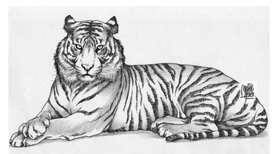 тигр #арт #рисунок #art #tiger | Художественные постеры, Рисунки животных,  Рисунки
